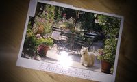 Postcarte-aus-Frankreich-vorne.jpg