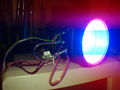 LED-Strobo-3.jpg