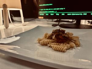 Bild von Pasta mit Kürbissauce, Lauchstroh und Walnüssen auf einem viereckigem Teller. Im Hintergrund ist ein Bildschirm welchen Code in grünem Font mit schwarzen Hintergrund zeigt.
