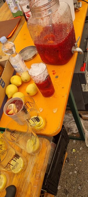 Abgebildet ist ein großes Gefäß mit einem roten Getränk. Auf einem Biertisch, darum Zitronen, Becher etc., Küchenchaos halt