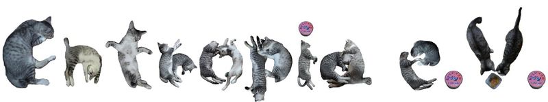 Datei:Entropia Cats.jpg